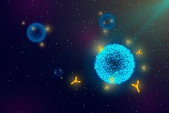 Image showing virus particles interacting with antibody molecules