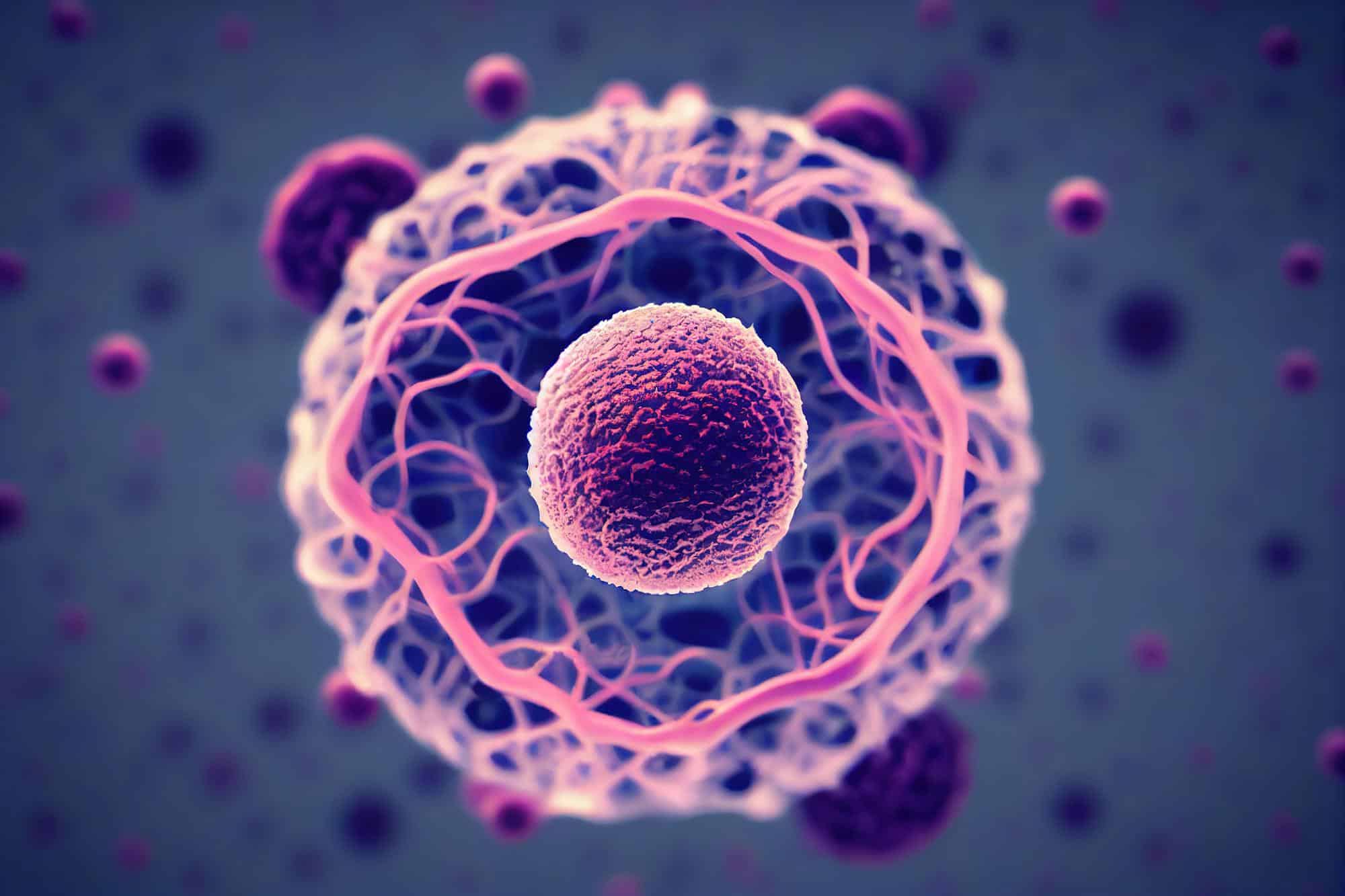 Image showing cancer cells