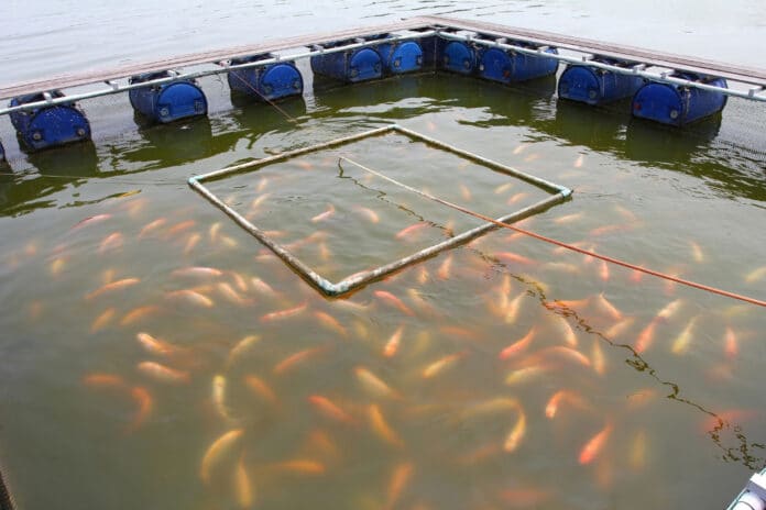 Image showing fish farm