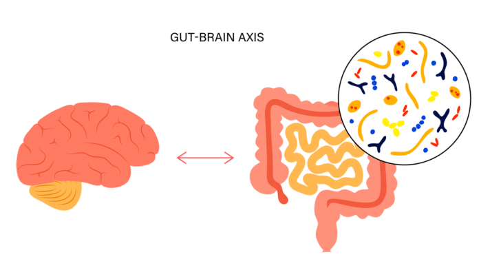 Image showing gut-brain axis