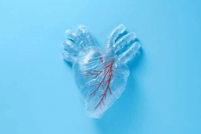 Image showing plastic heart
