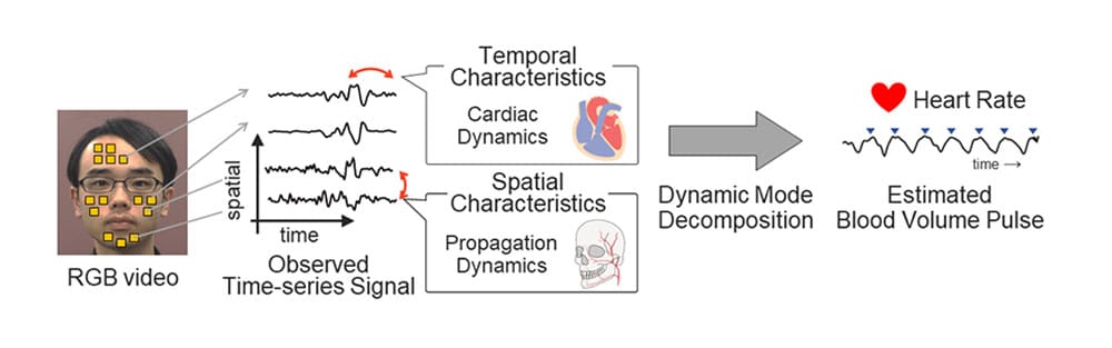 Novel method for extracting spatio-temporal structure of blood volume pulse for accurate heart rate estimation