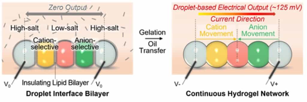 Image showing process for the hydrogel droplet power unit.