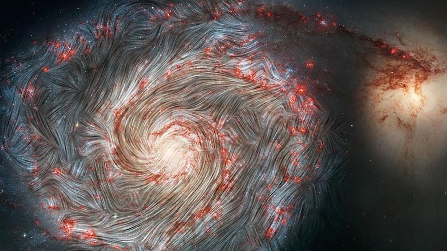 The magnetic field in the Whirlpool Galaxy (M51)