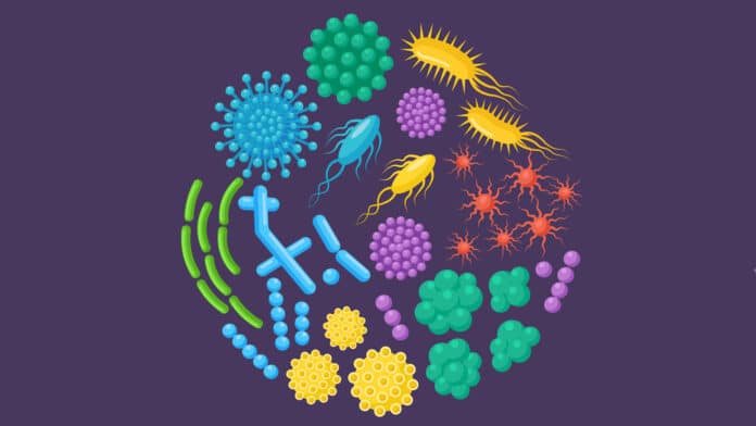 Image showing microbes