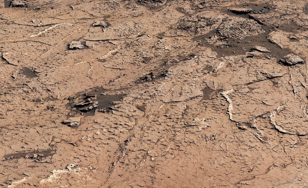 close-up of the mud cracks