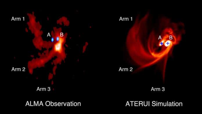 Gas distribution around the trinary protostars IRAS 04239+2436