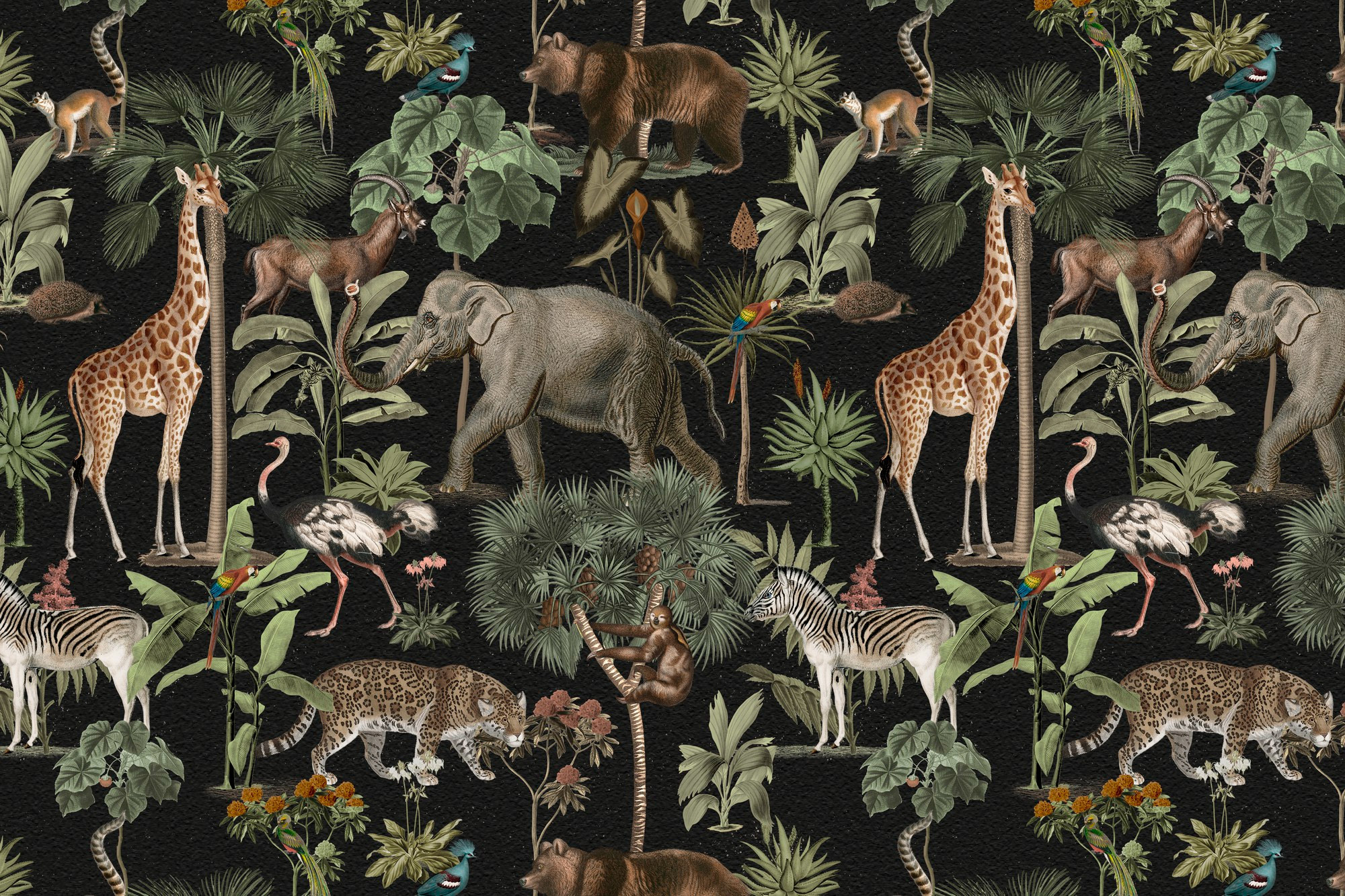 Image showing wild animals.