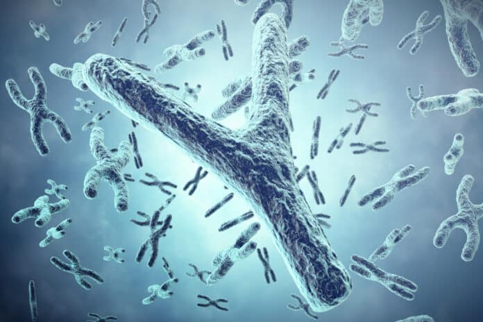 Image showing chromosomes