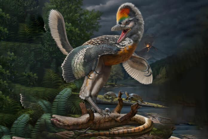 150-million-year-old avialan theropod