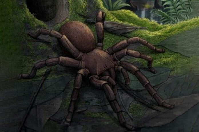 ancient spider