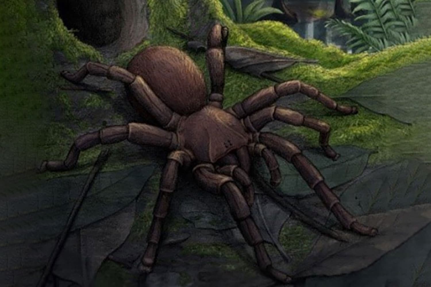 Avustralya’da 16 milyon yıllık en büyük örümcek fosili bulundu