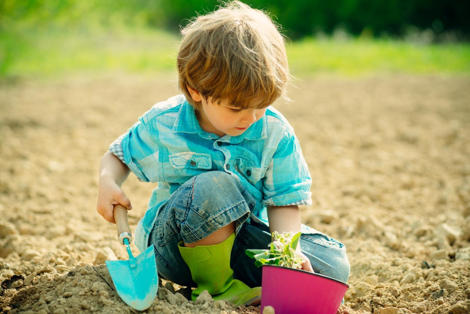 Cute little boy watering plants in the garden at spring sunny day crop planting at fields