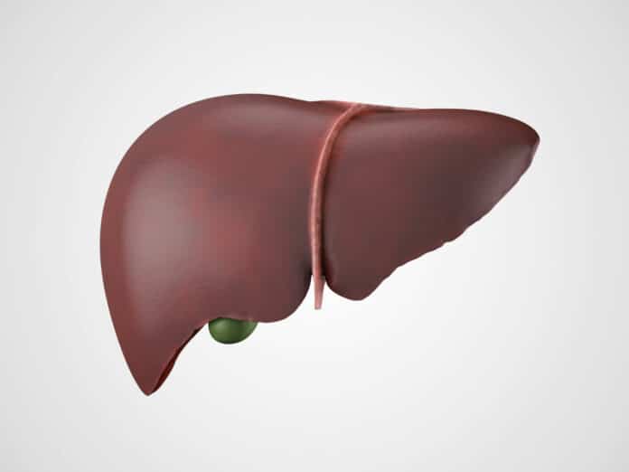 Image showing liver
