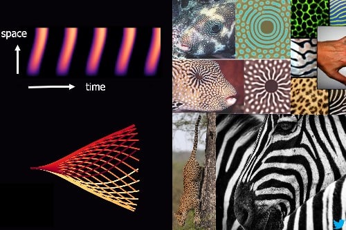 Image showing Stripe patterns.