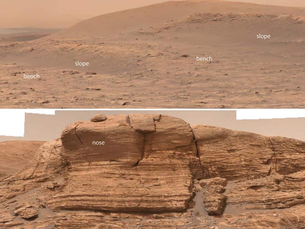 Mars and nose morphology