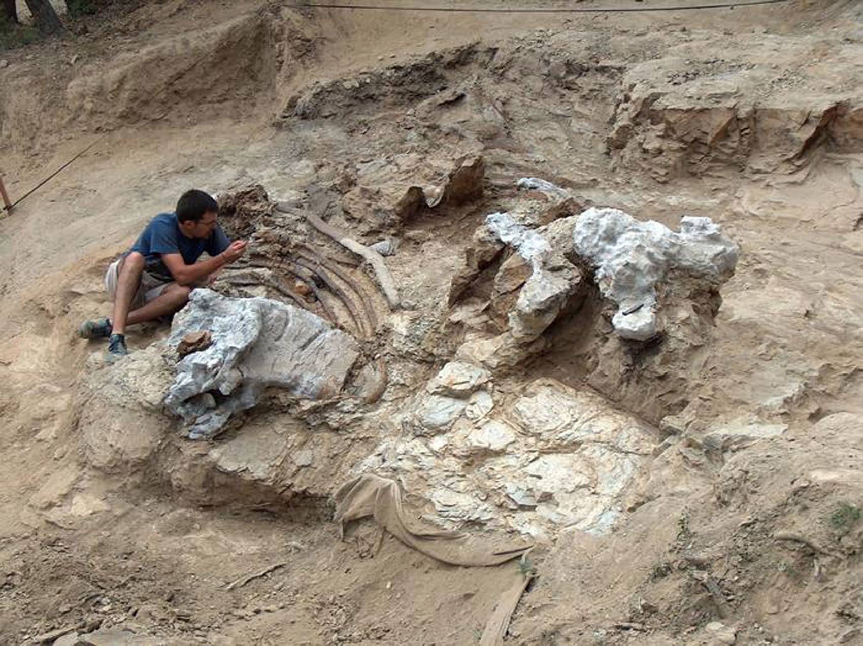 Garumbatitian: descubierto un nuevo dinosaurio gigante con una forma de hueso inusual
