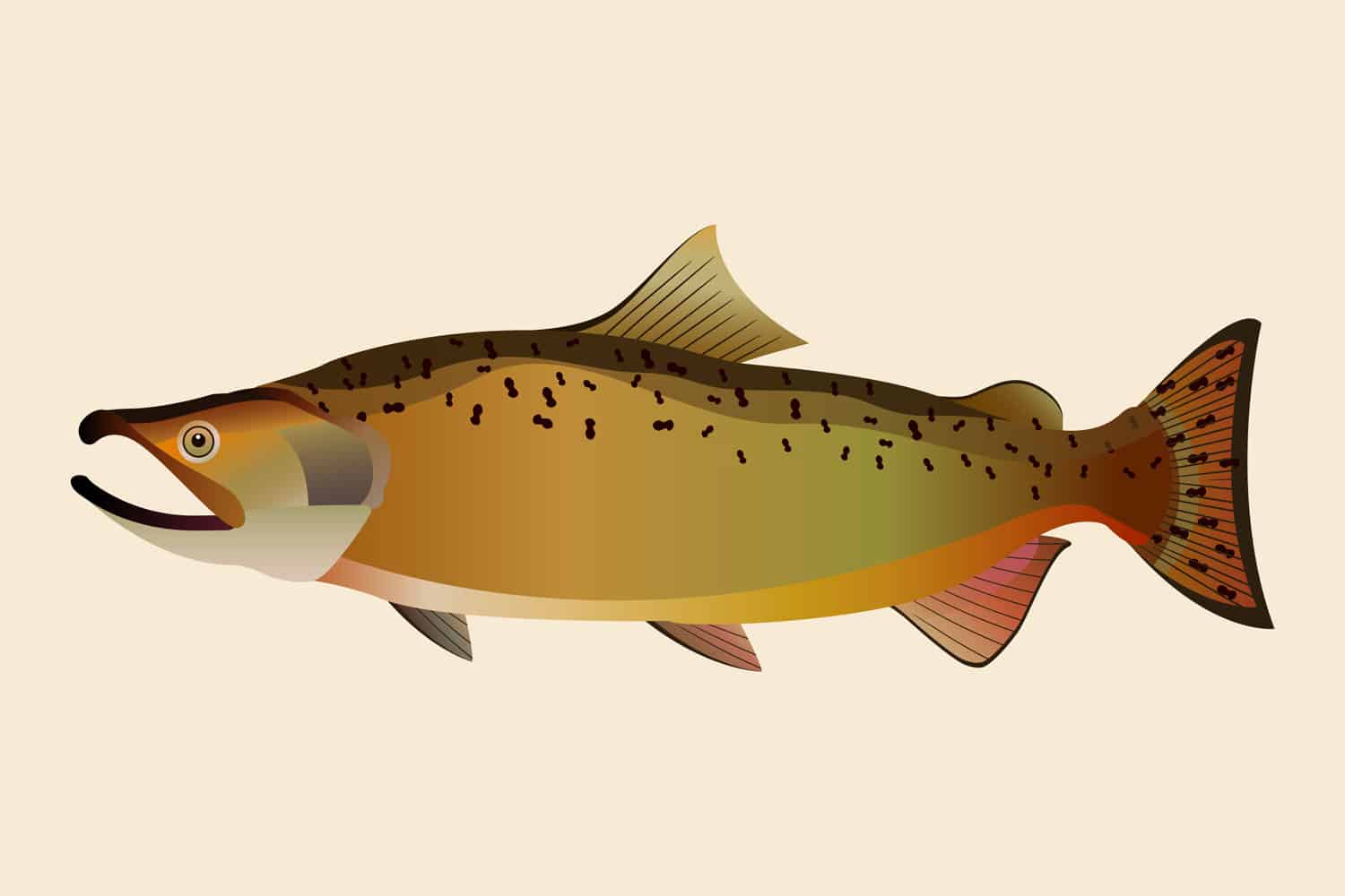 Векторная иллюстрация изолированных рыб