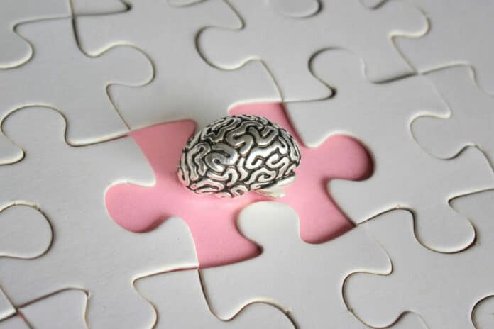 lzheimer amnesia mental health concept brain model