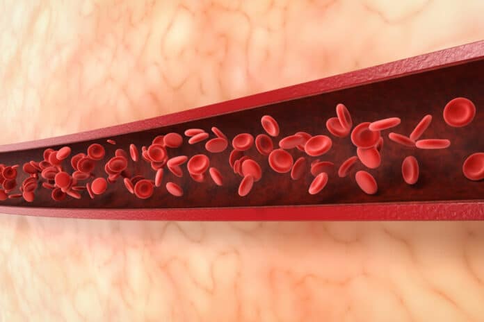 3d rendering red blood cells flow in vein