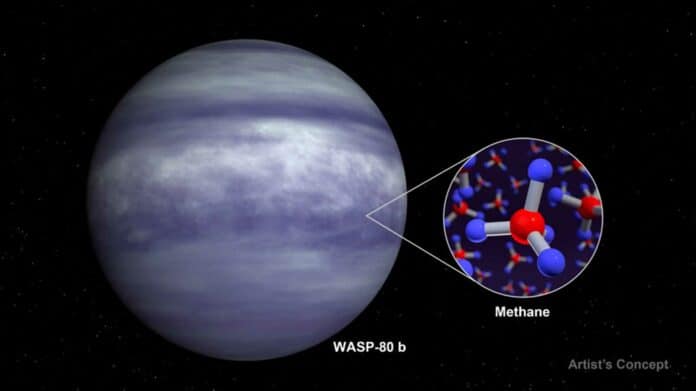 warm exoplanet WASP-80 b
