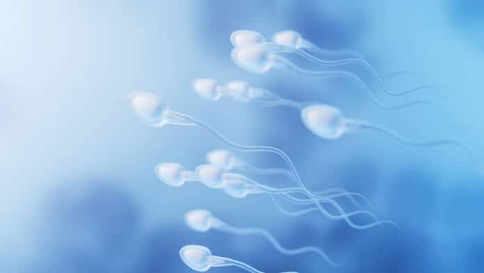 Human sperm cells 3d rendering Digital drawing