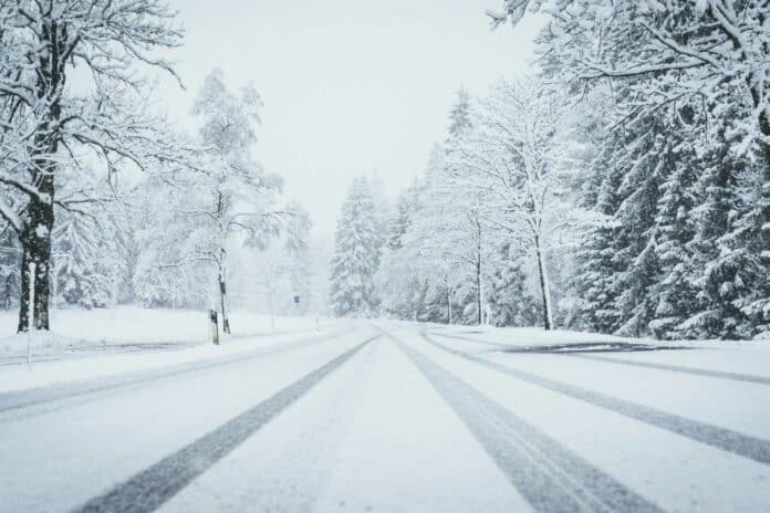 wide shot of a road fully covered by snow with pine trees