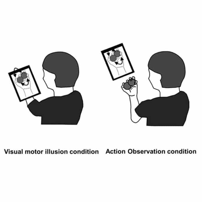 Visual motor illusion and action observation