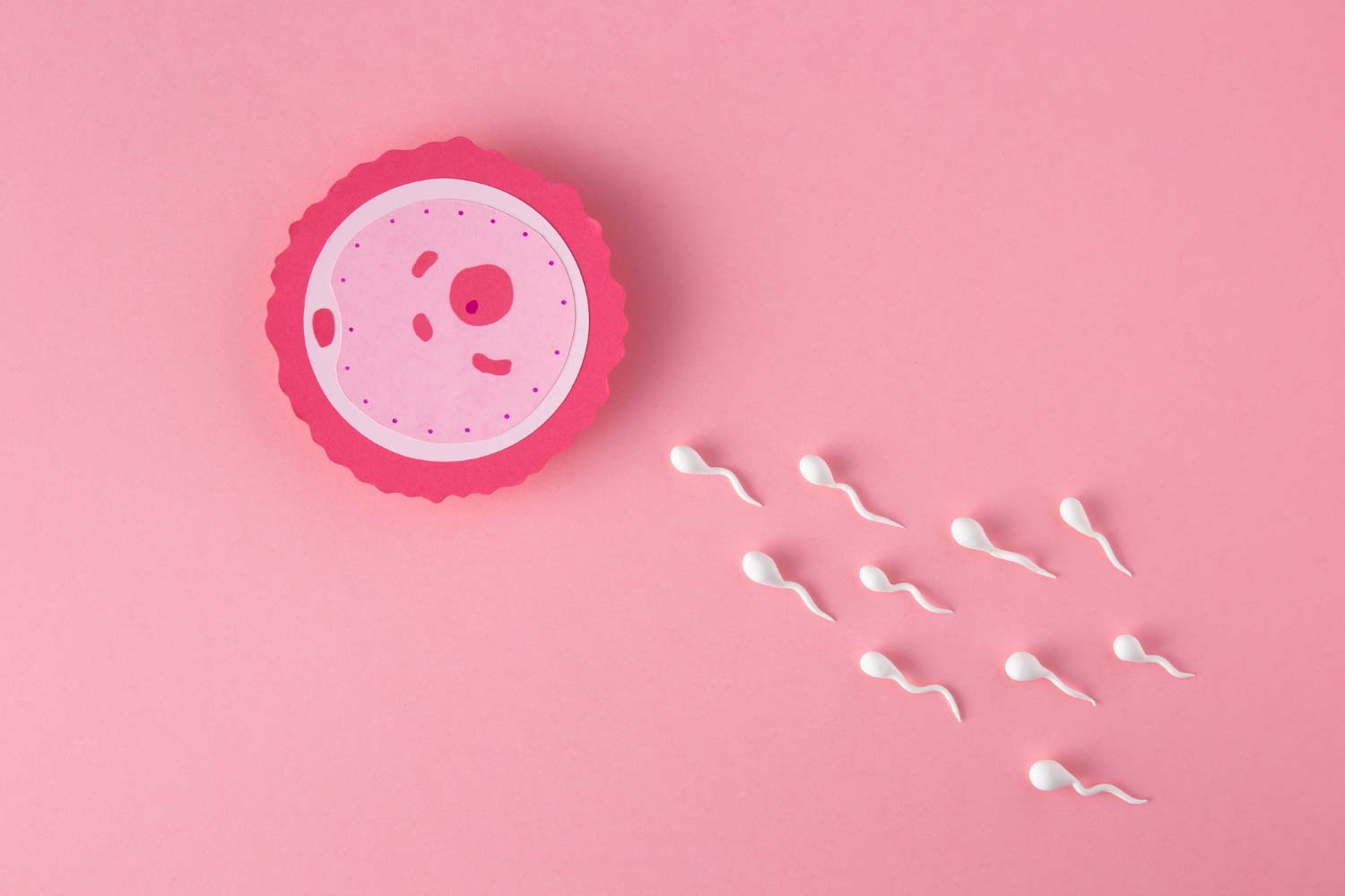 flat lay fertility concept with pink background