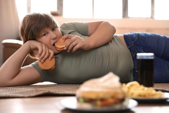 Overweight boy with fast food at home
