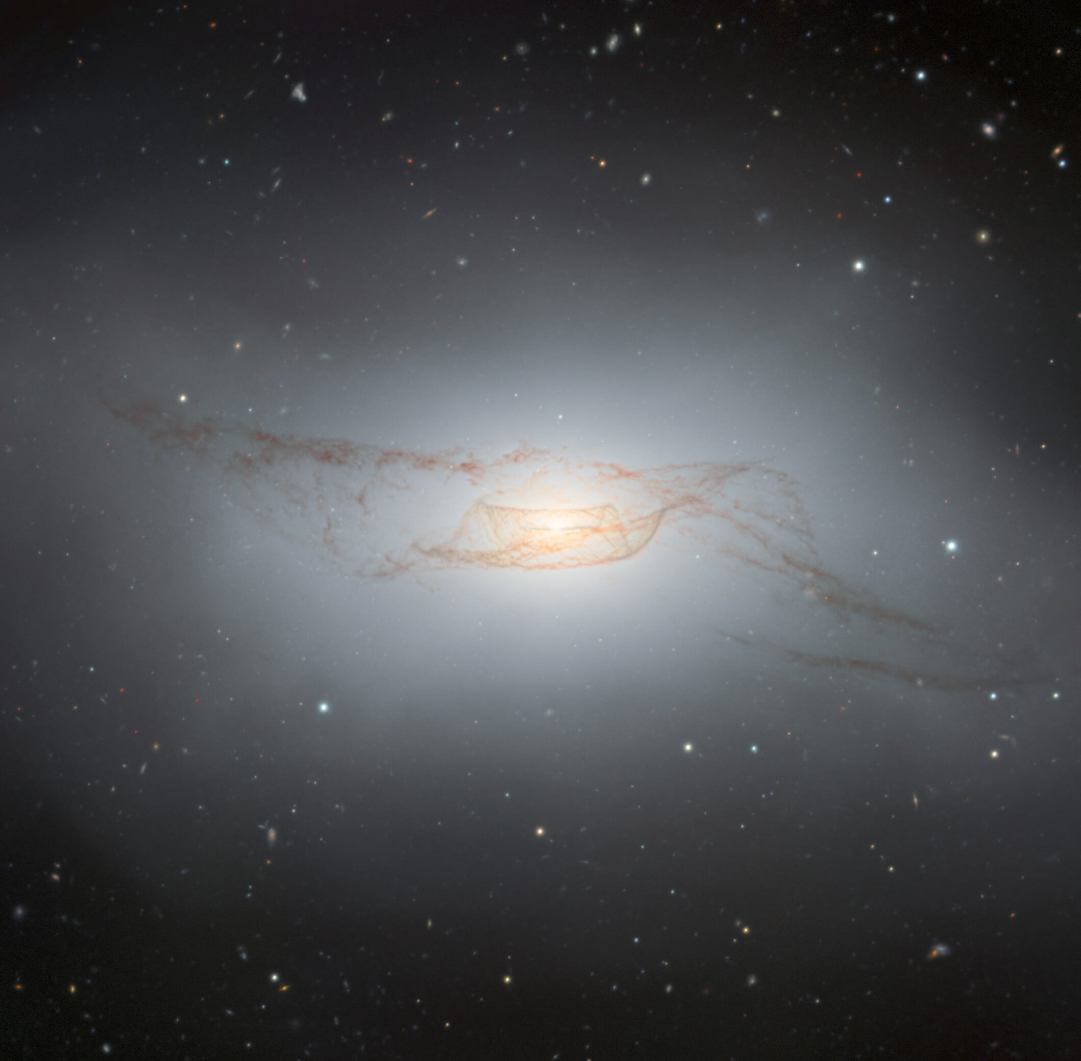The Twisted Dusty Disk of NGC 4753