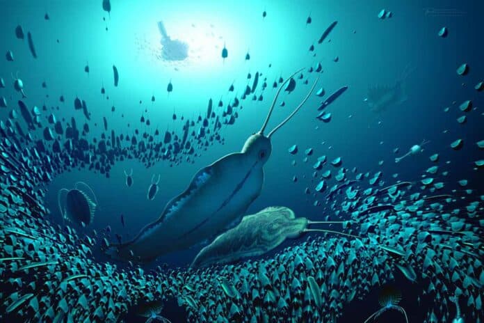 pelagic ecosystem and the organisms fossilised in Sirius Passet