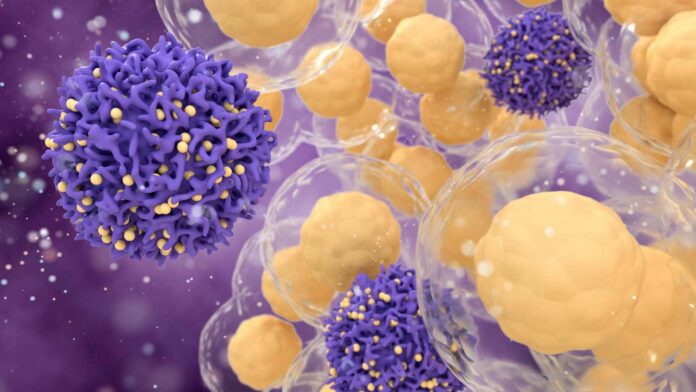 3d illustration of t cells or cancer cells