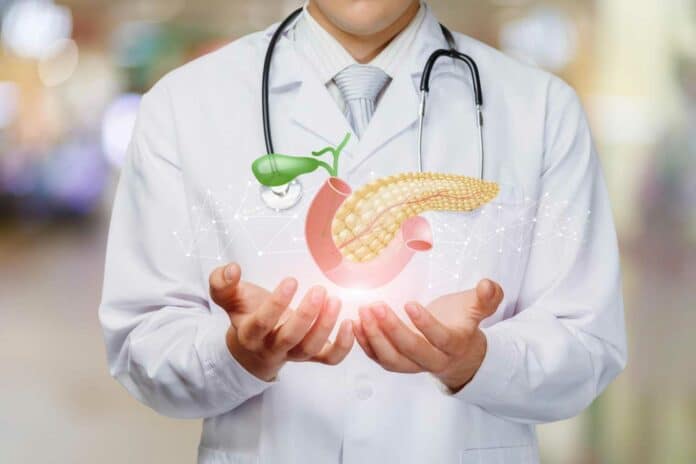 Doctor man showing a pancreas on blurred background