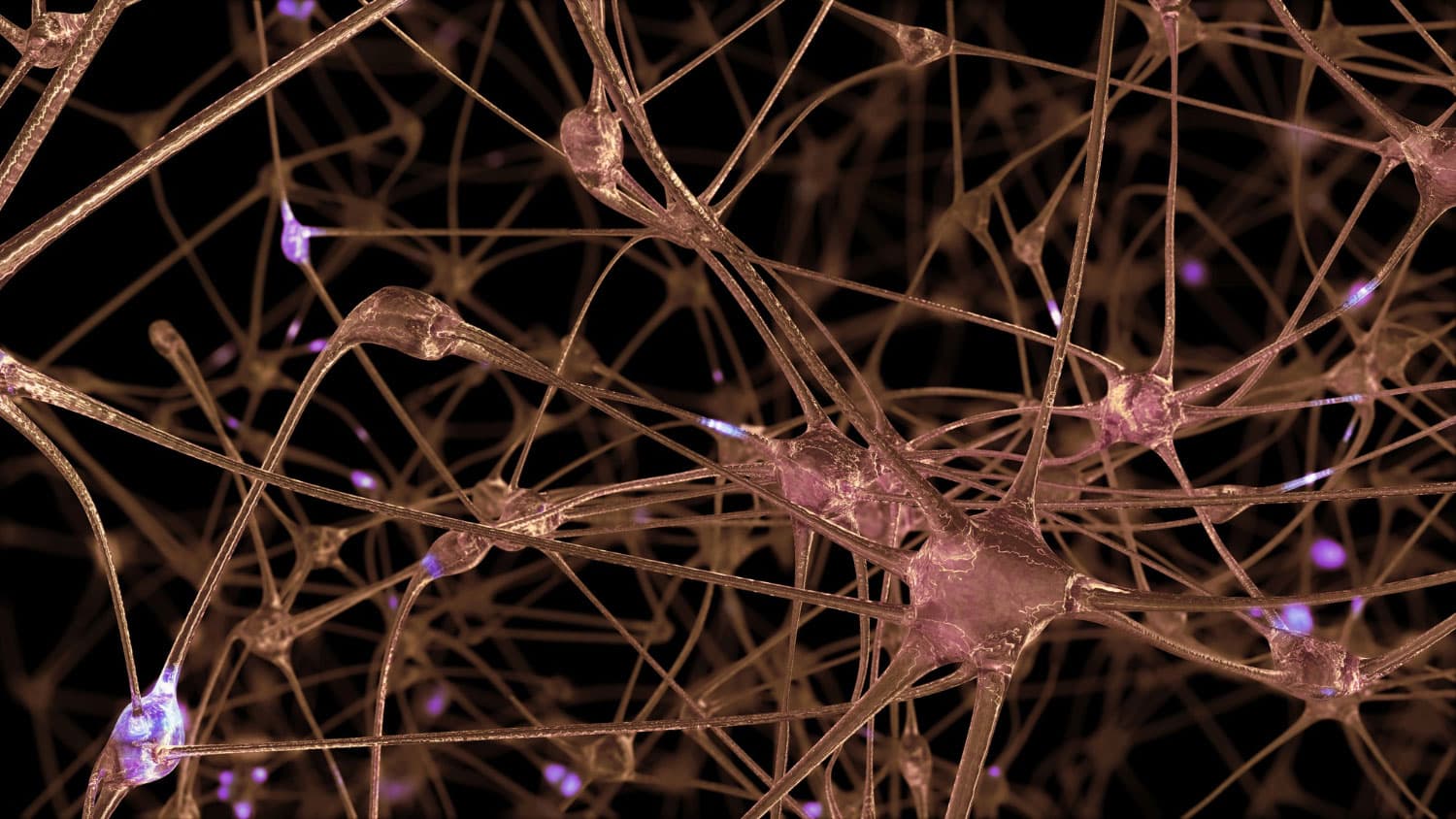3d rendering of a network of neuron cells