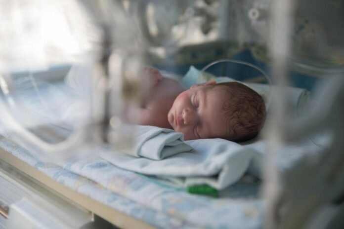 Newborn baby in an incubator.