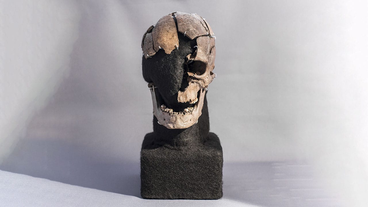 cranial remains of Vittrup Man