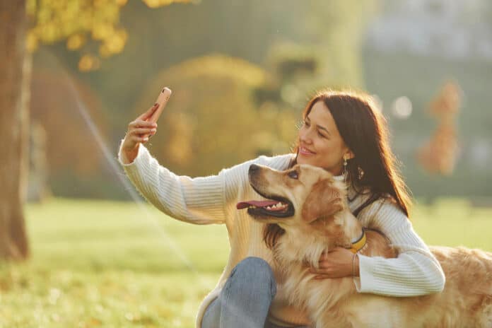 Making selfie young woman have a walk with golden retriever in the park
