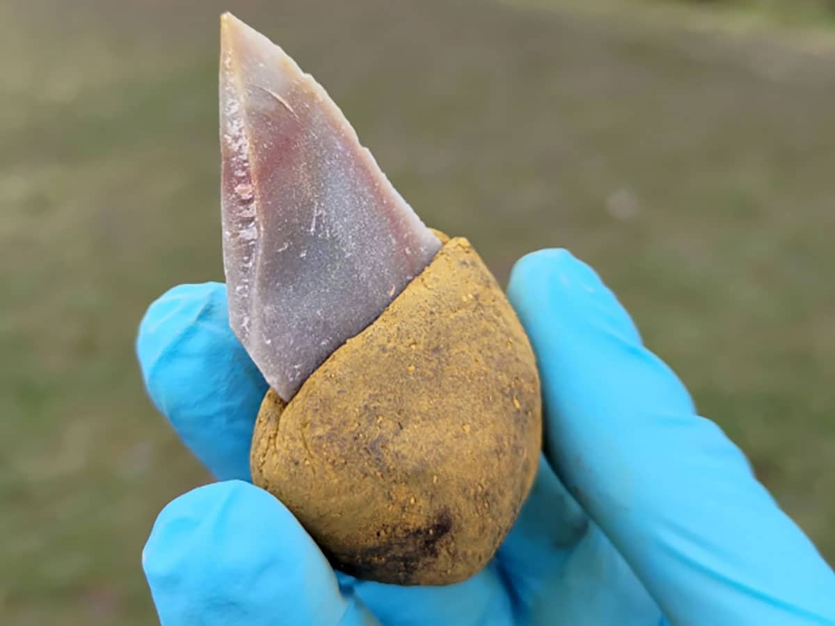 A stone tool glued into a handle made of liquid bitumen with the addition of 55 percent ochre. It is no longer sticky and can be handled easily.