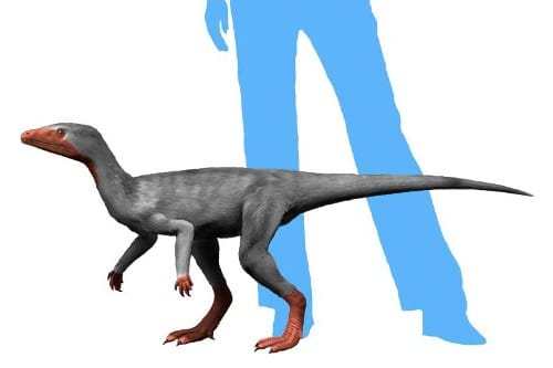typical early dinosaur