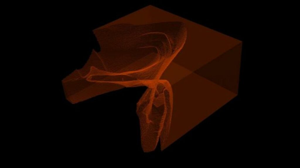 Rendering of 3D crack front data in a brittle hydrogel recorded with a confocal fluorescence microscope