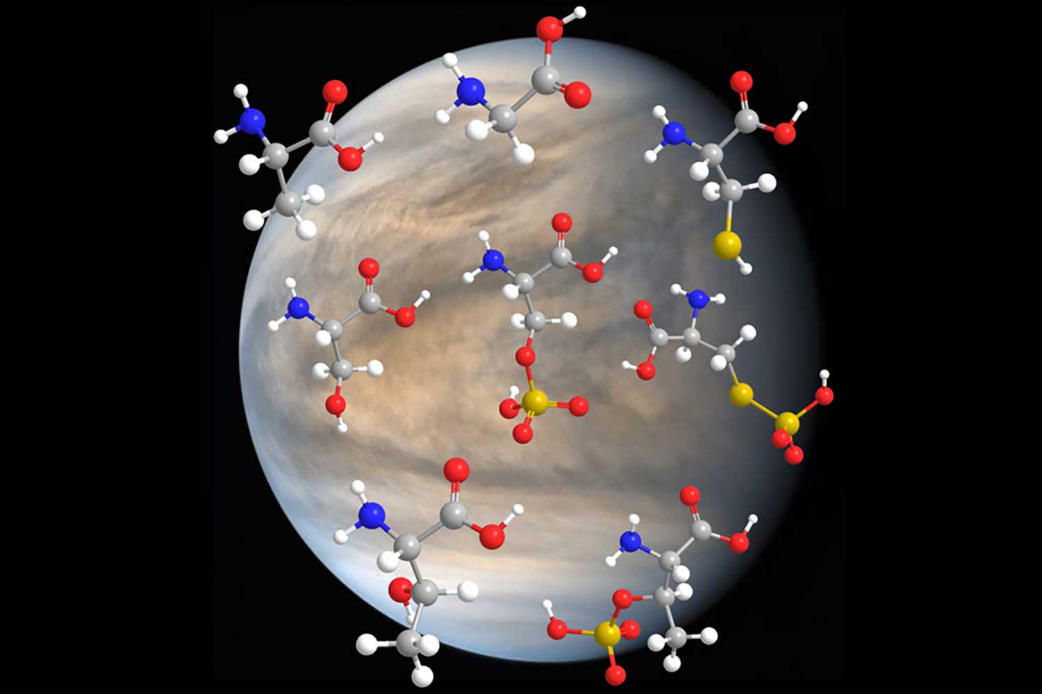 amino acids — major building blocks for life on Earth — are stable