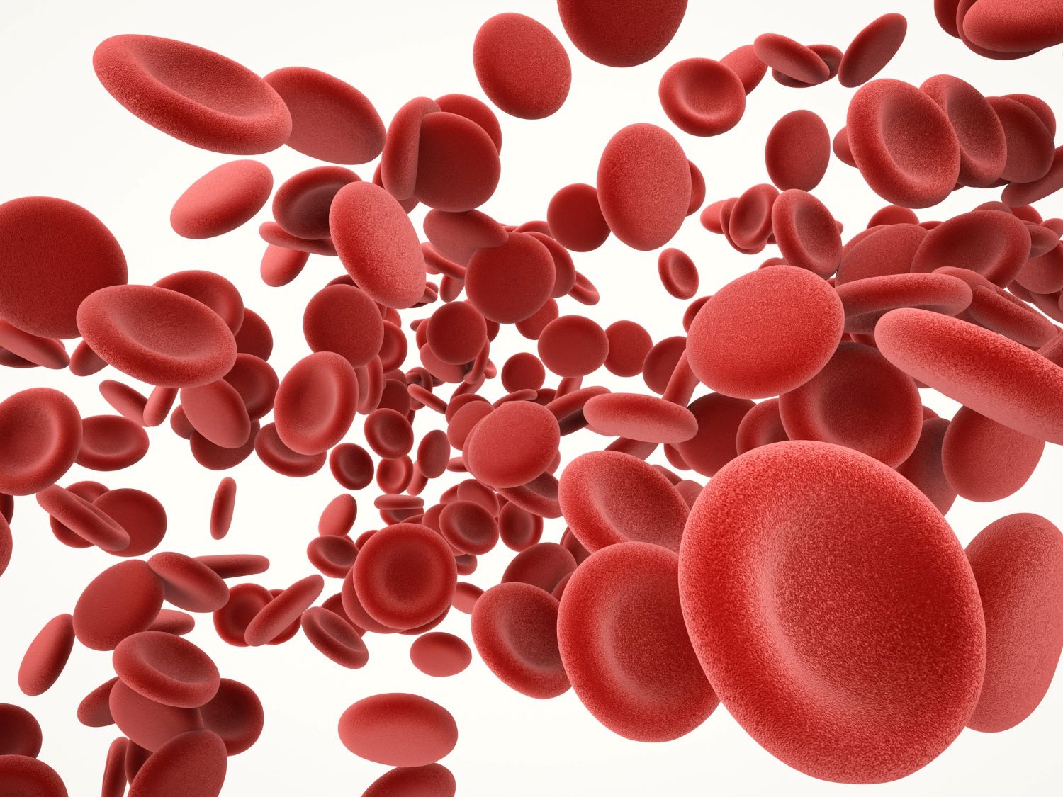 3d rendering red blood cells