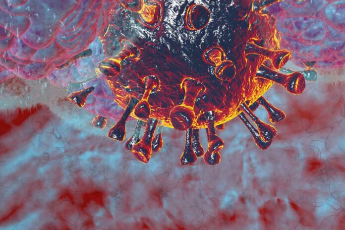 3d render illustration natural killer body cell immune respone corona virus cell concept covid19