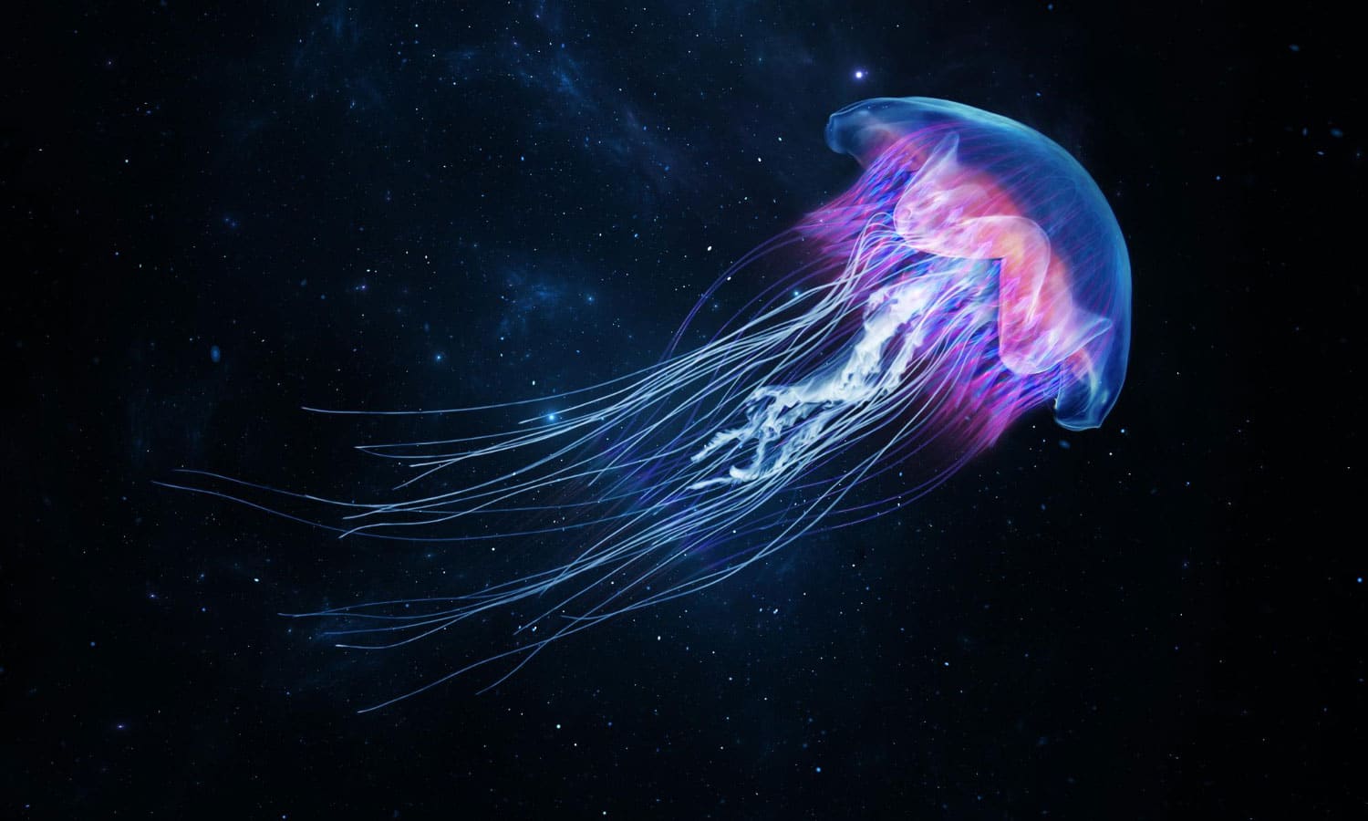 Glowing jellyfish swim deep in blue sea.