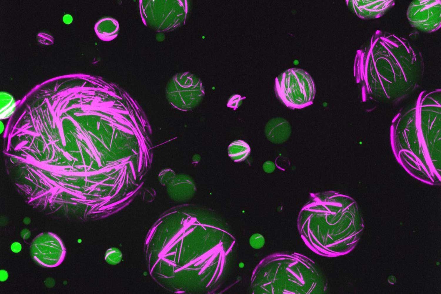 Nuevas células sintéticas autoensambladas hechas de ADN