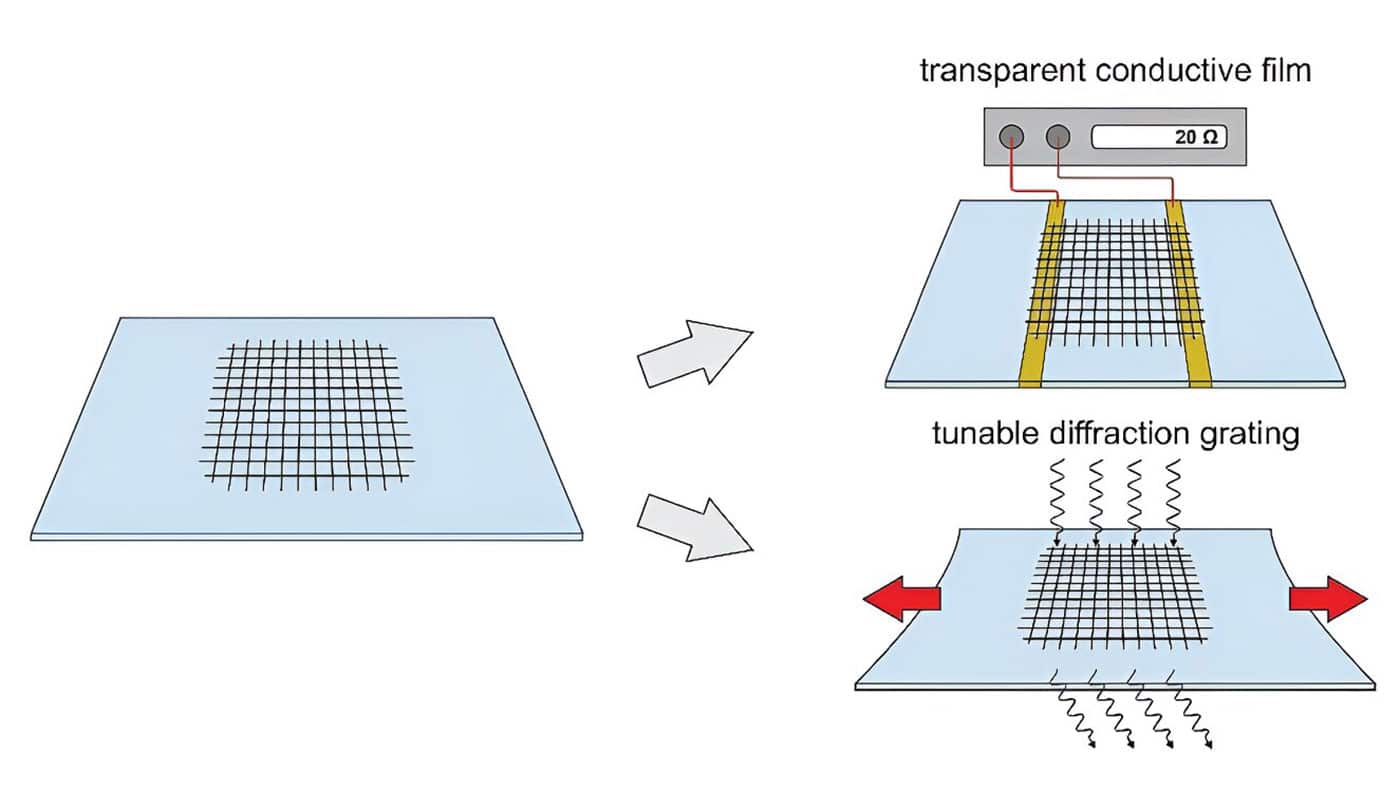 A mesh-shaped single-walled carbon nanotube film