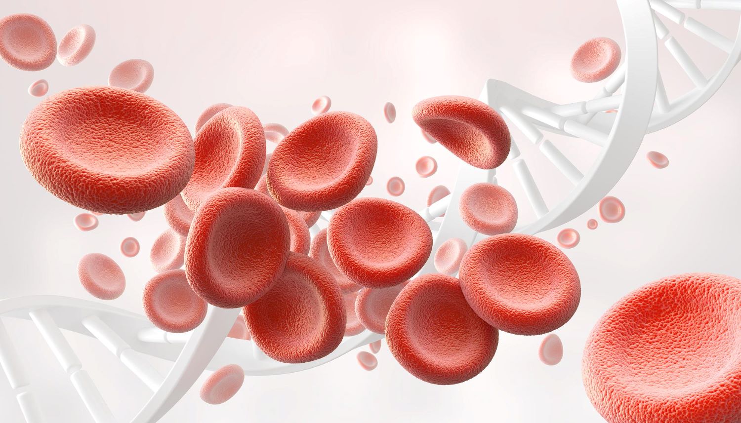 3d illustration of human red blood cells