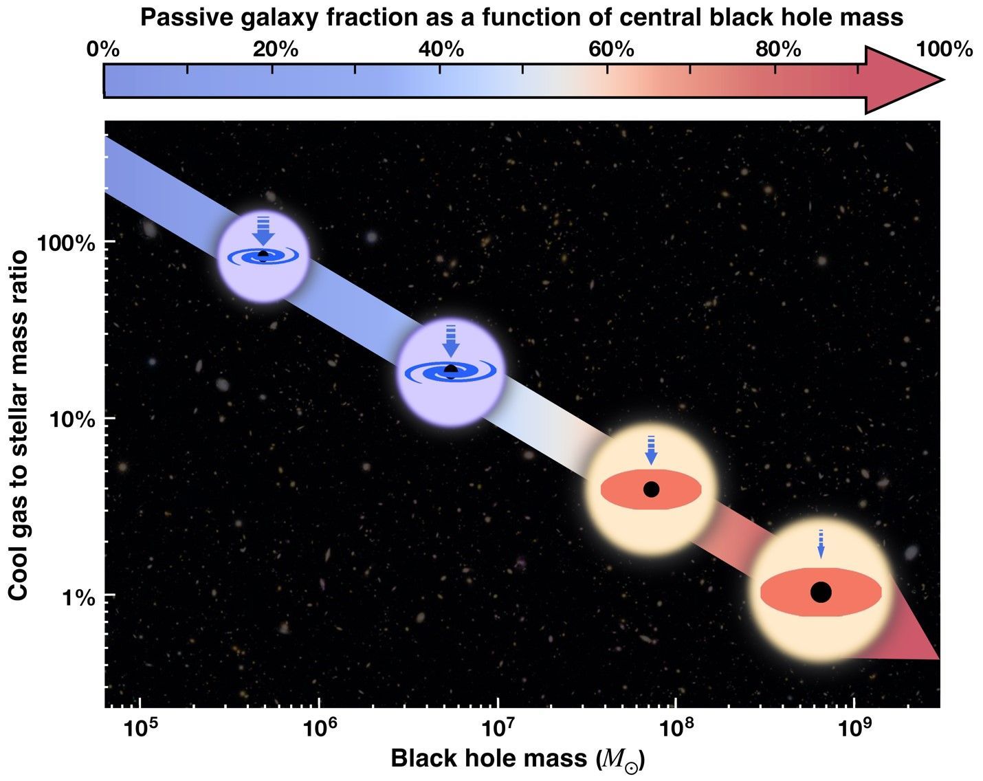 Black hole exerts immense influence over the life and death of its home ...