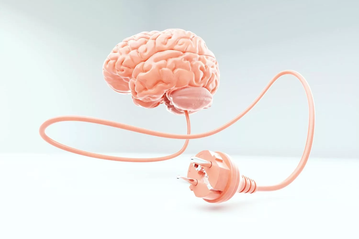 Your brain can rewire its circuits to handle different tasks